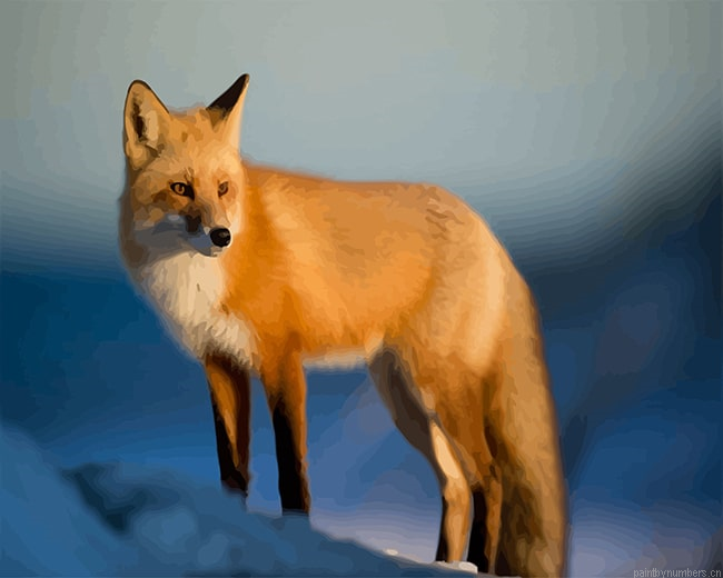 Fox In Snow Animals Painting By Numbers.png