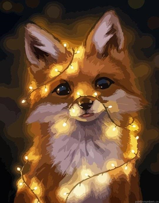 Fox In Light Animals Painting By Numbers.png