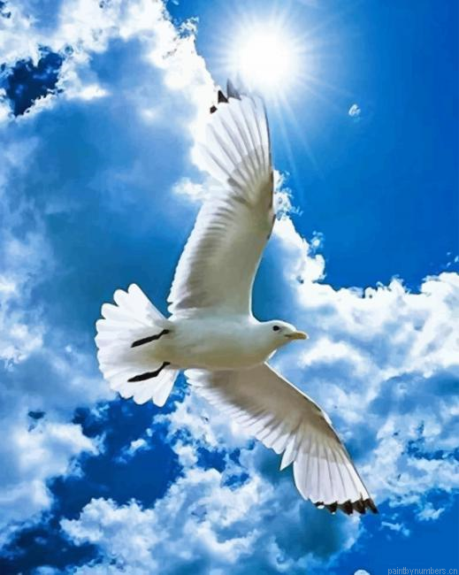Free Bird Painting By Numberss.png