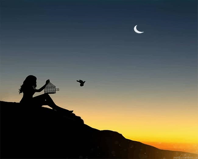 Freedom Bird Silhouette Painting By Numberss.png