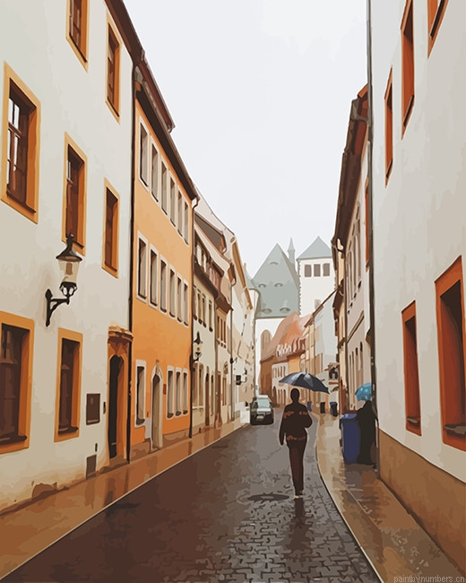 Freiberg Germany Street Cities Painting By Numberss.png