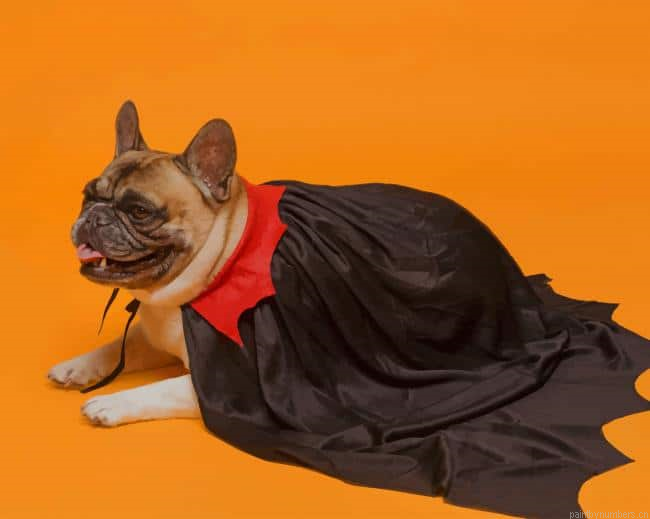 French Bulldog In Vampire Cape Animals Painting By Numberss.png