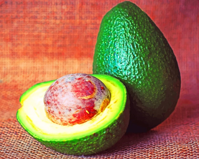 Fresh Avocado Fruit Food Painting By Numberss.png