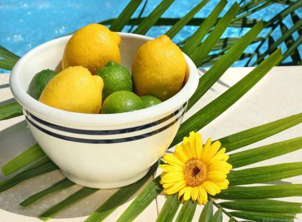Fresh Lemon Flower Fruits Painting By Numbers.png