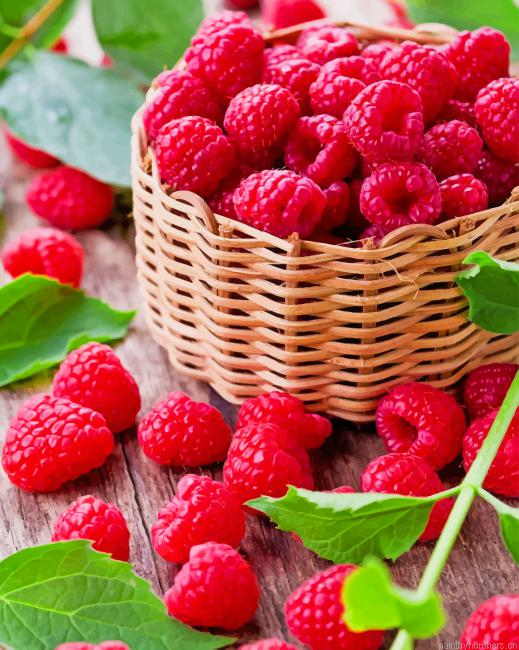 Fresh Raspberries Fruit Food Painting By Numbers.png