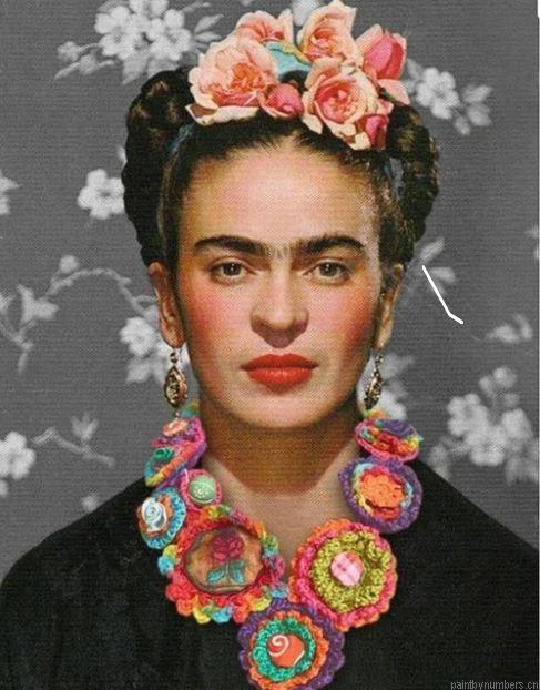 Frida Kahlo De Rivera Painting By Numbers.png