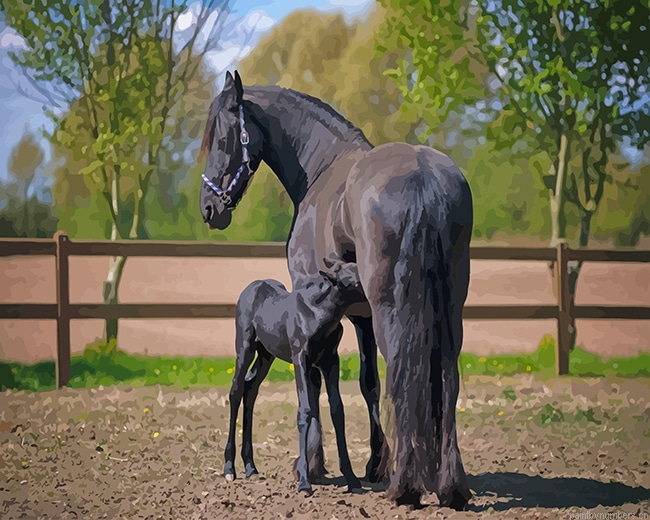 Friesian Horses Animals Painting By Numberss.png