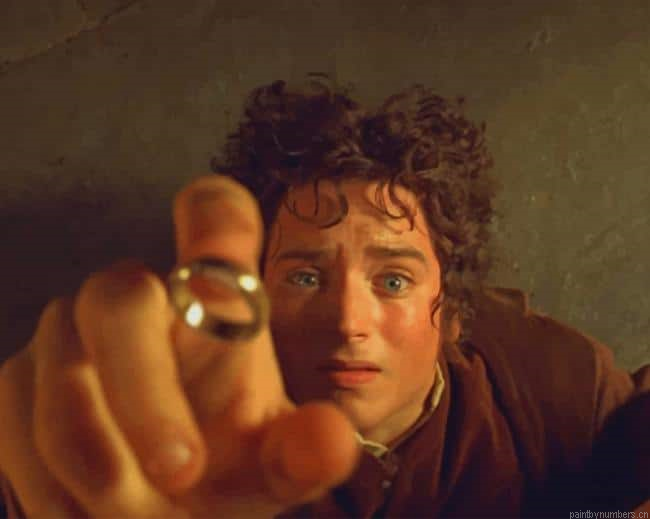 Frodo Lord Of The Rings Painting By Numberss.png