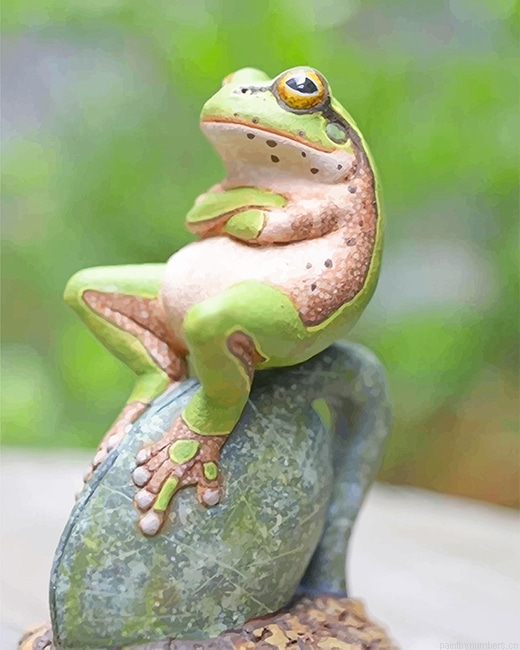 Frog On A Rock Amphibians Painting By Numberss.png