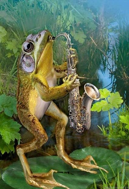 Frog Saxophone Painting By Numbers.png