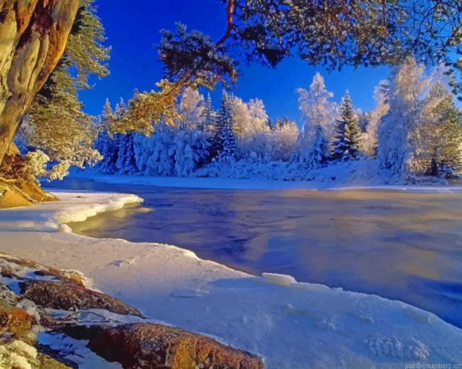 Frozen River And Trees Snow Painting By Numberss.png