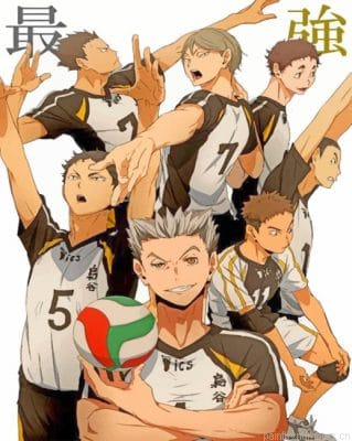 Fukurodani Team Painting By Numbers.png