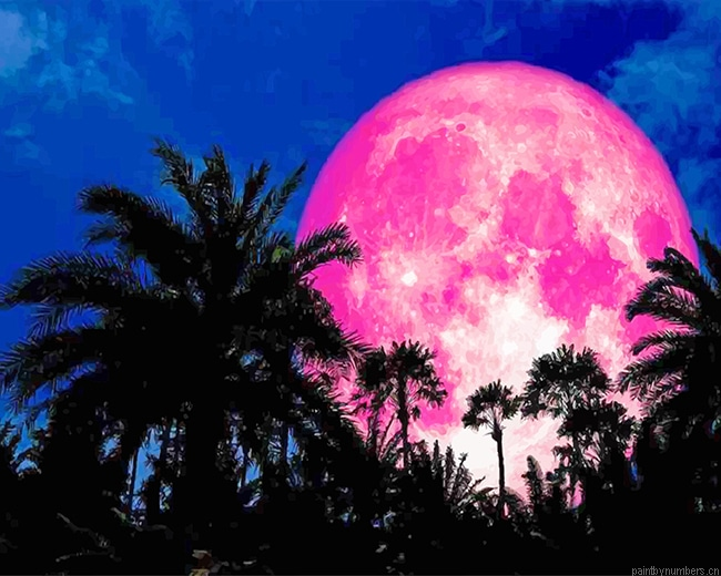 Full Pink Moon Landscapes Painting By Numbers.png