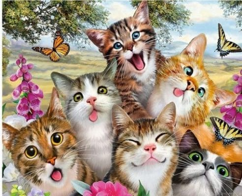 Funny Cats With Butterflies Painting By Numberss.png