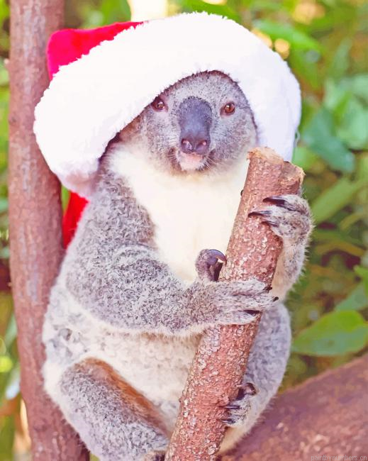 Funny Christmas Koala Animals Painting By Numberss.png