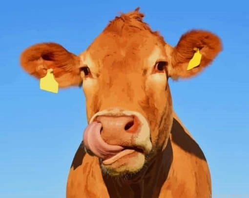 Funny Cow Painting By Numberss.png
