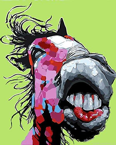 Funny Donkey Animals Painting By Numberss.png