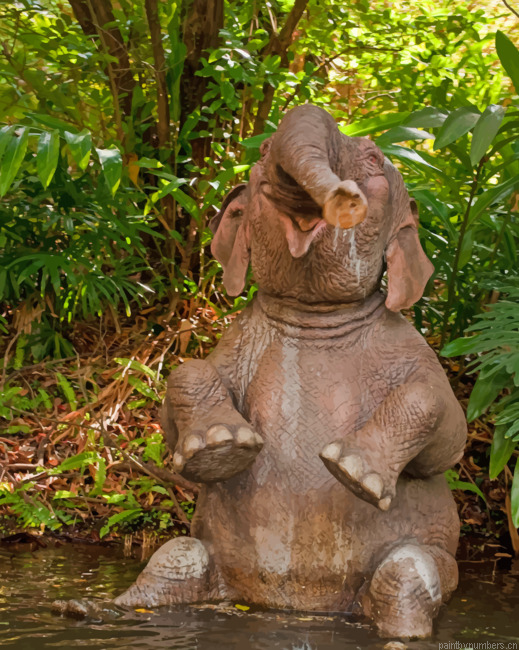 Funny Elephant Animalspainting By Numberss.png