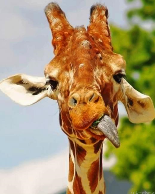 Funny Giraffe Animals Painting By Numberss.png