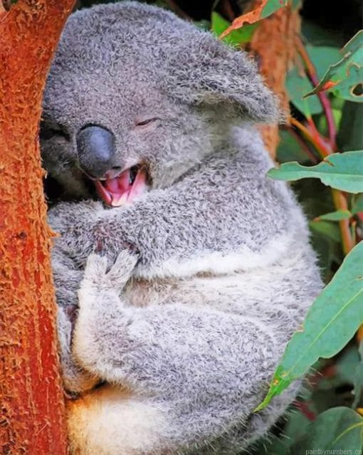 Funny Koala Painting By Numberss.png