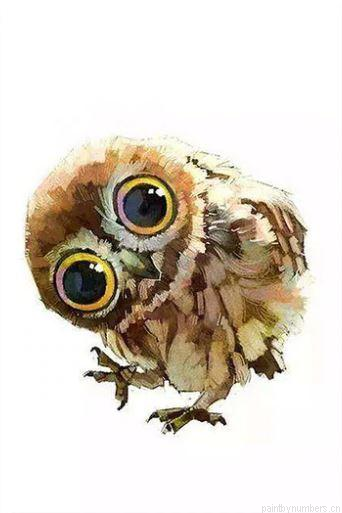 Funny Owl Birds Painting By Numbers.png