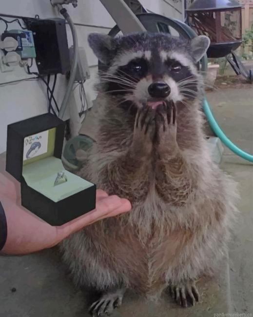 Funny Raccoon Animals Painting By Numberss.png