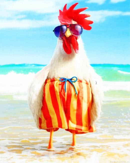 Funny Rooster Birds Painting By Numberss.png