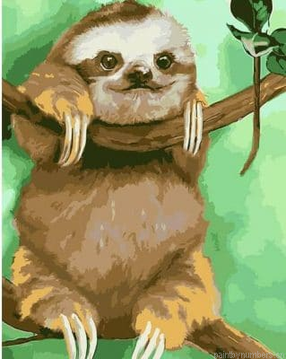 Funny Sloth Animals Painting By Numbers.png