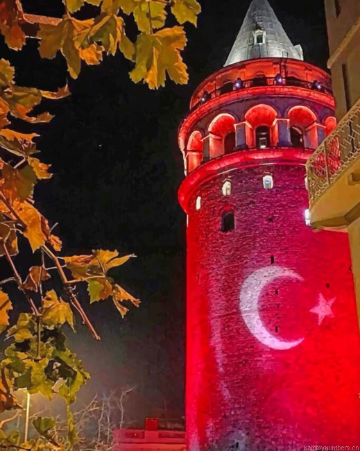 Galata Tower At Night Painting By Numberss.png