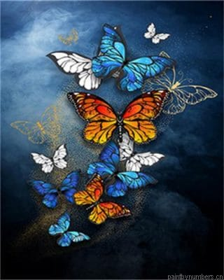 Galaxy Butterflies Insects Painting By Numberss.png