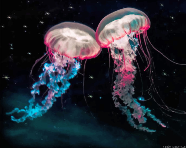 Galaxy Jellyfishes Painting By Numbers.png