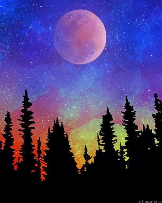 Galaxy Sky Trees Silhouette Painting By Numberss.png