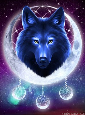 Galaxy Wolf Painting By Numberss.png