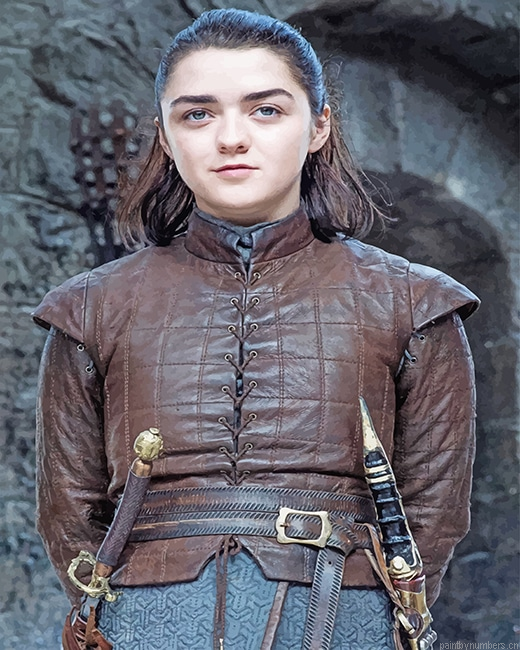 Game Of Thrones Maisie Arya Stark Painting By Numbers.png