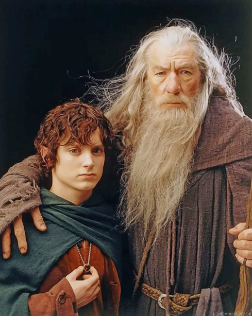 Gandalf And Frodo Lord Of Rings Painting By Numberss.png