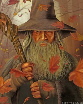 Gandalf Illustration Painting By Numberss.png