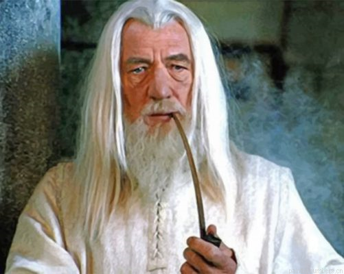 Gandalf Painting By Numberss.png