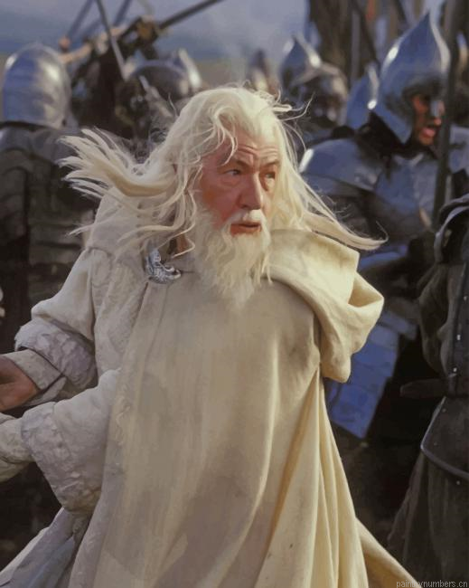 Gandalf The White Lord Of The Rings Painting By Numberss.png