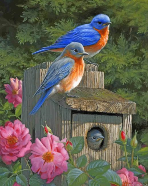 Garden Bluebirds Painting By Numberss.png