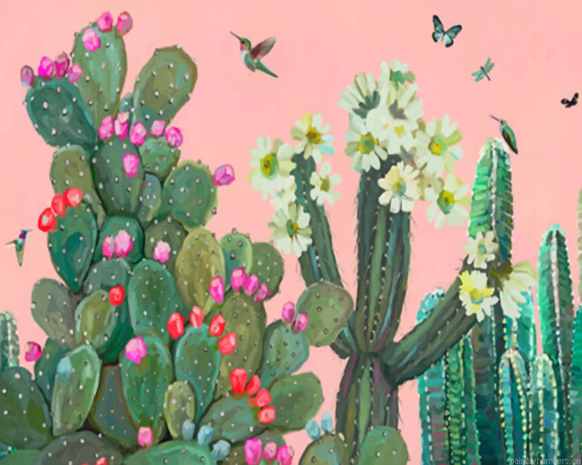 Garden Cactus And Roses Painting By Numbers.png