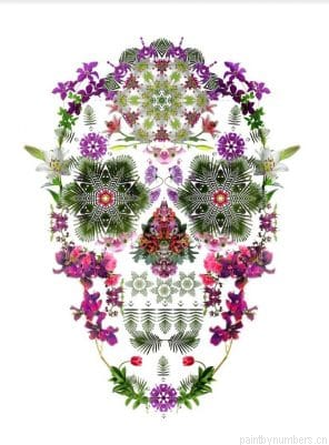 Garden Flowers Skull Painting By Numberss.png