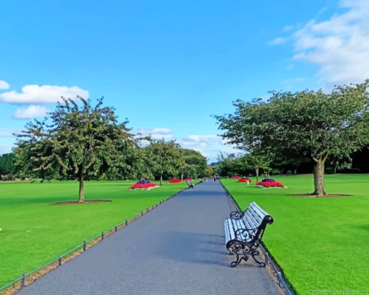 Garden Nature Landscapes Painting By Numberss.png