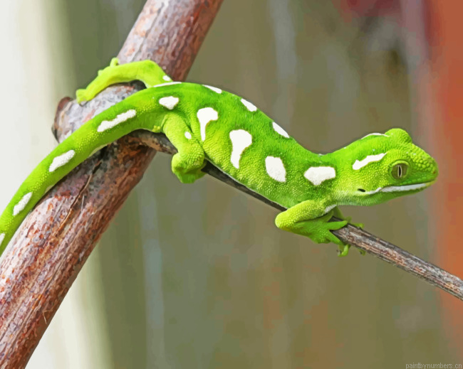 Gecko Lizard Painting By Numbers.png