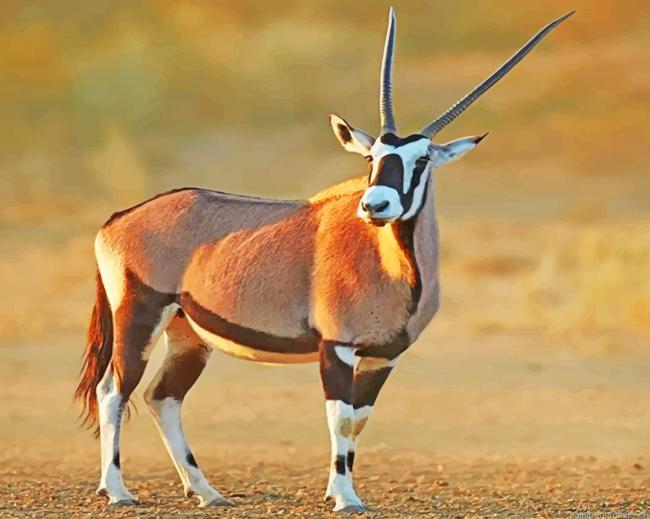 Gemsbok Animal Painting By Numberss.png