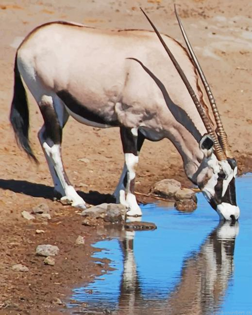 Gemsbok Drinking Animals Painting By Numberss.png