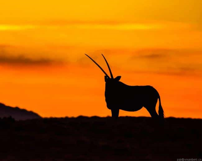 Gemsbok Silhouette Animals Painting By Numberss.png