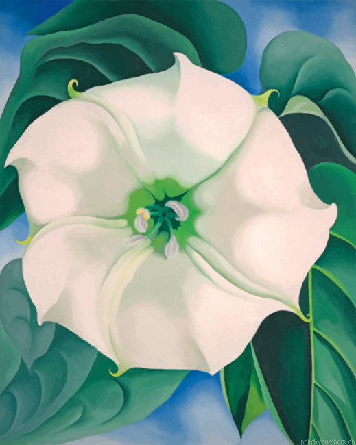 Georgia O Keeffe White Flower Painting By Numberss.png