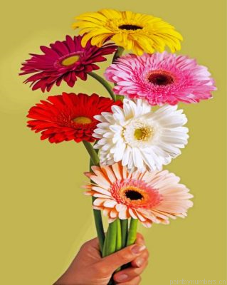Gerbera Bloem Painting By Numbers.png
