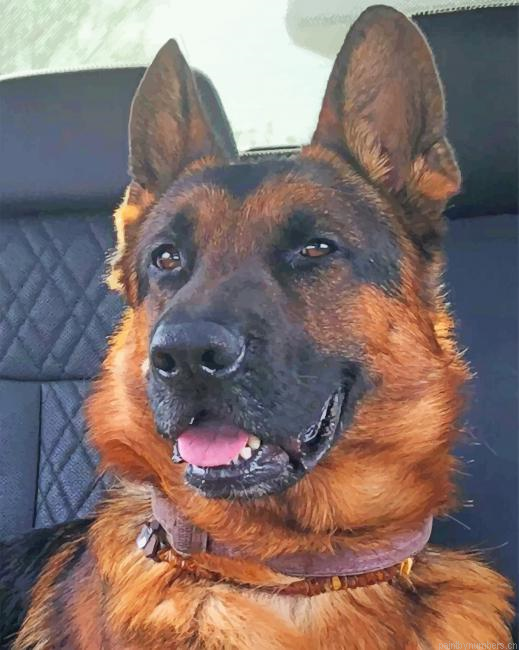 German Shepherd Dog Painting By Numberss.png