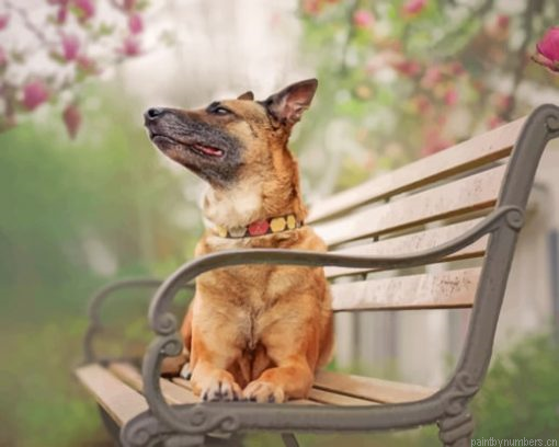 German Shepherd On The Bench Painting By Numberss.png